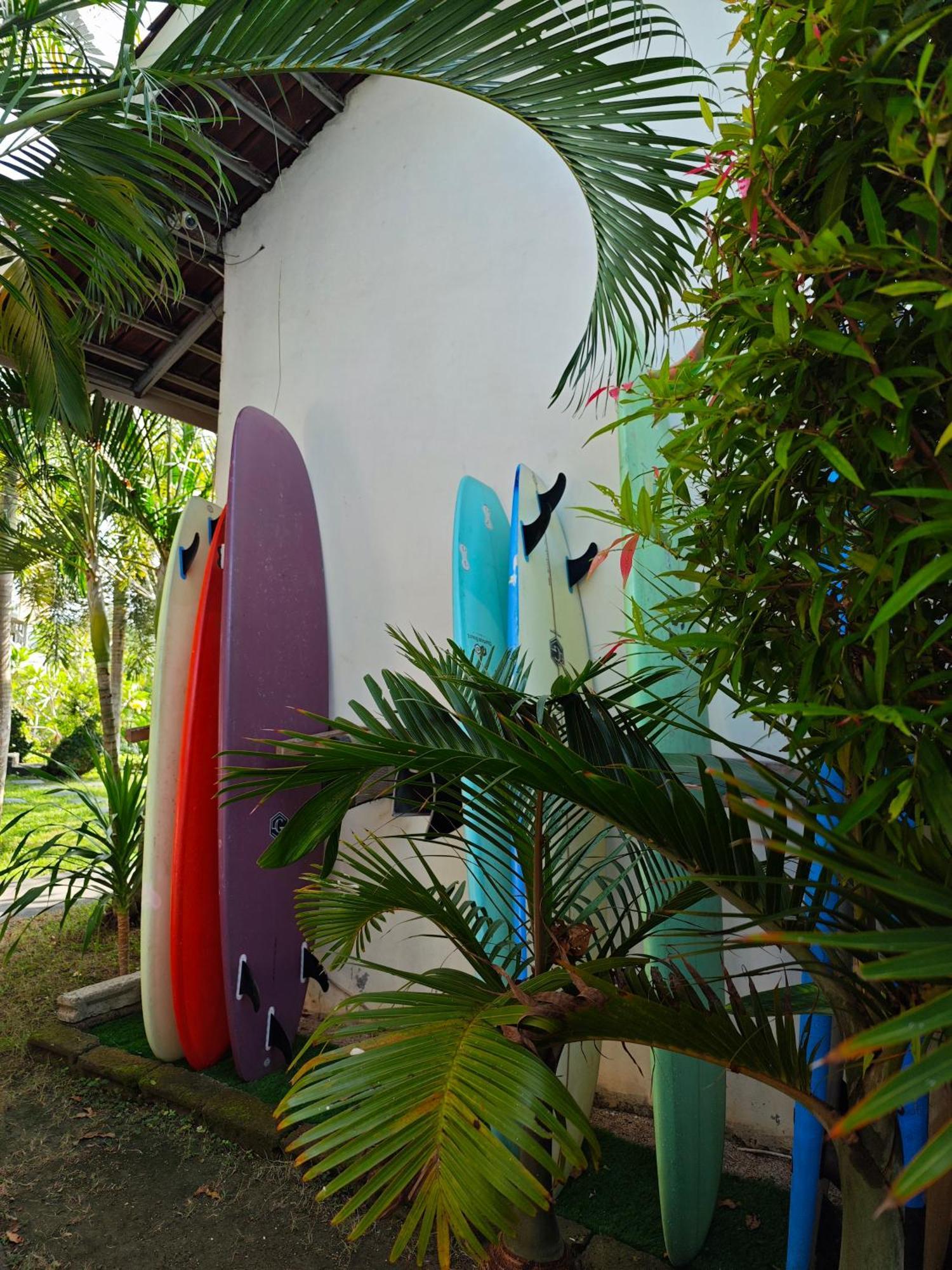 Hotel Surf Camp 79 Kuta  Exteriér fotografie