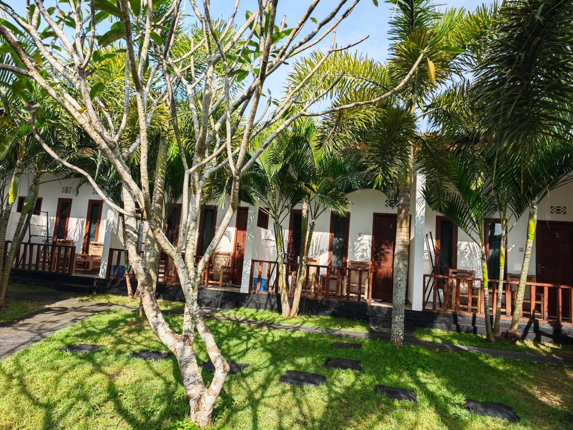Hotel Surf Camp 79 Kuta  Exteriér fotografie